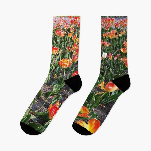 Item preview, Outstanding in a tulip field from A Gardener's Notebook designed and sold by Douglas E. Welch Design and Photography.