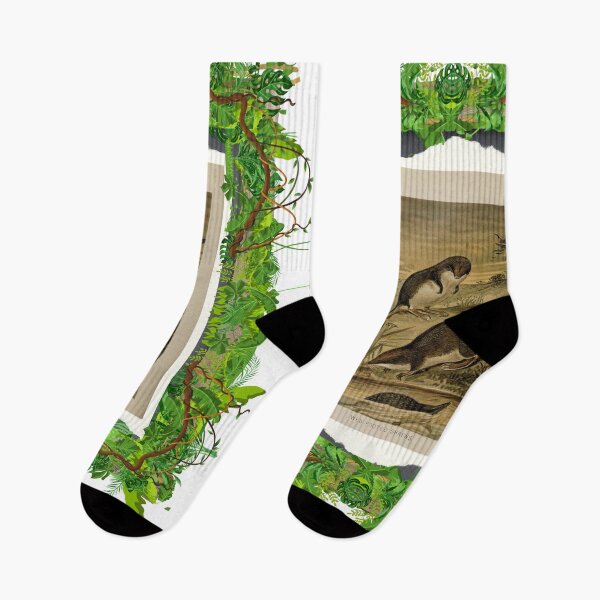 Item preview, Zoological board "Web-footed shrews". designed and sold by AdvanceDesign.