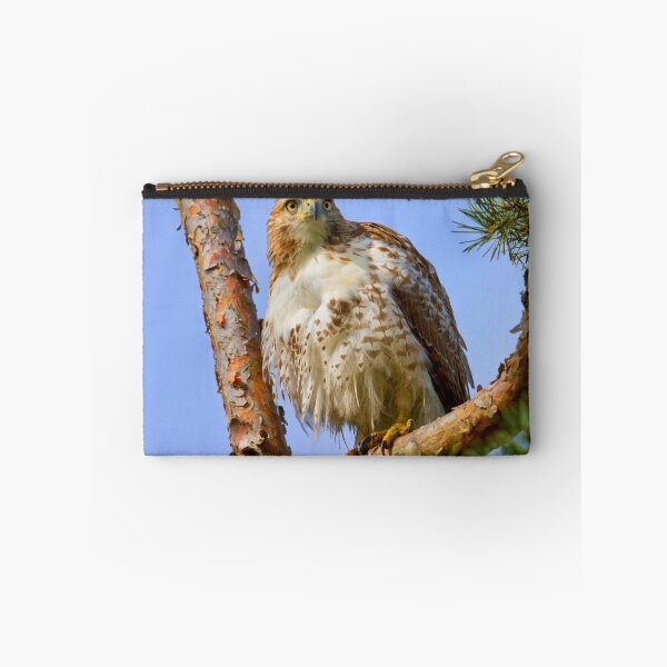 Item preview, Red Tailed Hawk designed and sold by John Absher.
