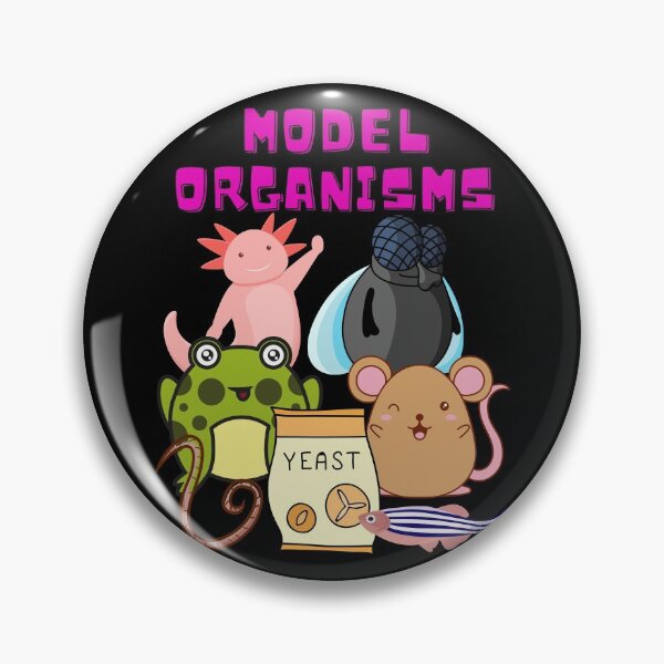 Item preview, Model Organisms Advancing Science Research designed and sold by Chromatin.