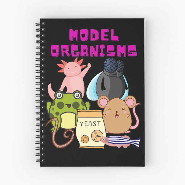 Item preview, Model Organisms Advancing Science Research designed and sold by Chromatin.