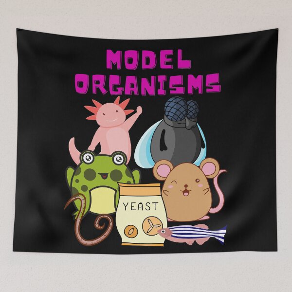 Item preview, Model Organisms Advancing Science Research designed and sold by Chromatin.