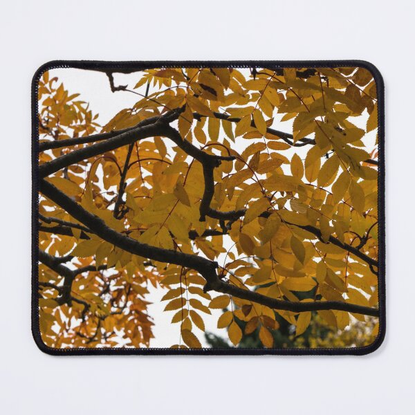 Item preview, Fall leaves designed and sold by CanadianWild418.