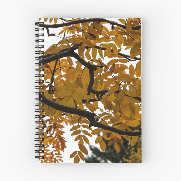 Item preview, Fall leaves designed and sold by CanadianWild418.