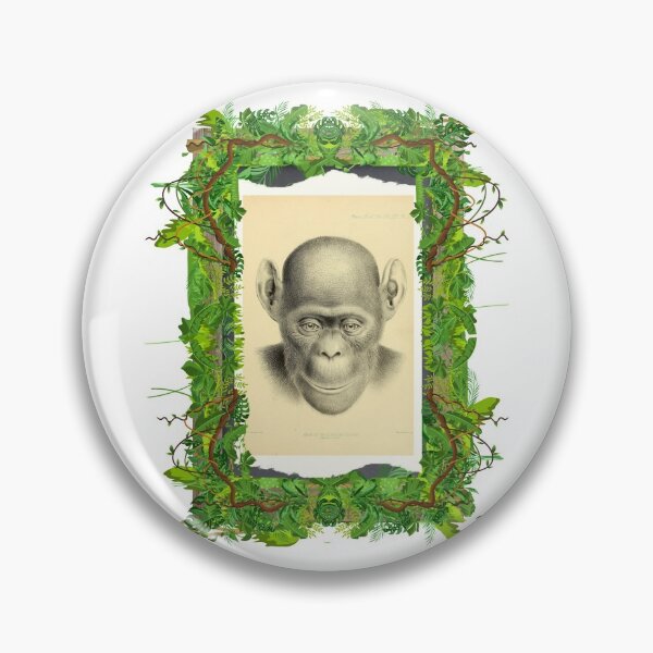 Item preview, Zoological board "Head of troglodyte calvus" - Zoological design and zoology board designed and sold by AdvanceDesign.