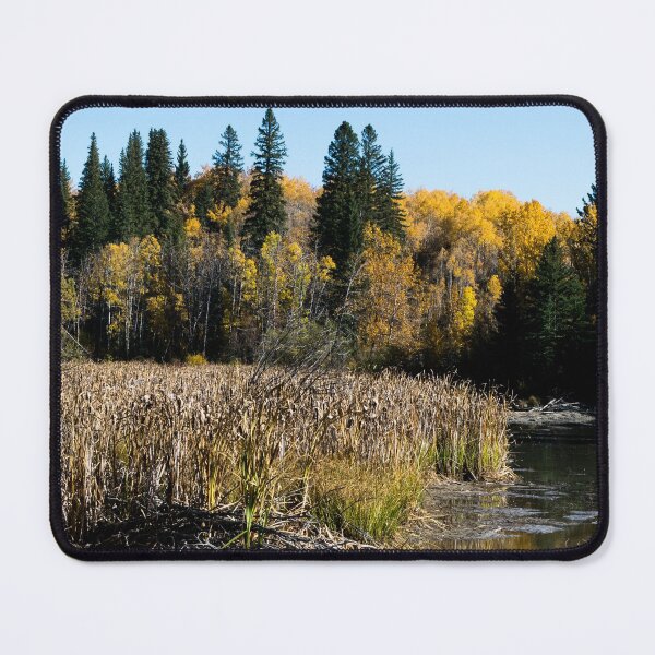 Item preview, Fall in an urban park. designed and sold by CanadianWild418.