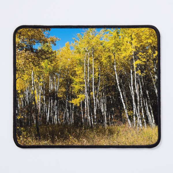 Item preview, Fall scenes designed and sold by CanadianWild418.