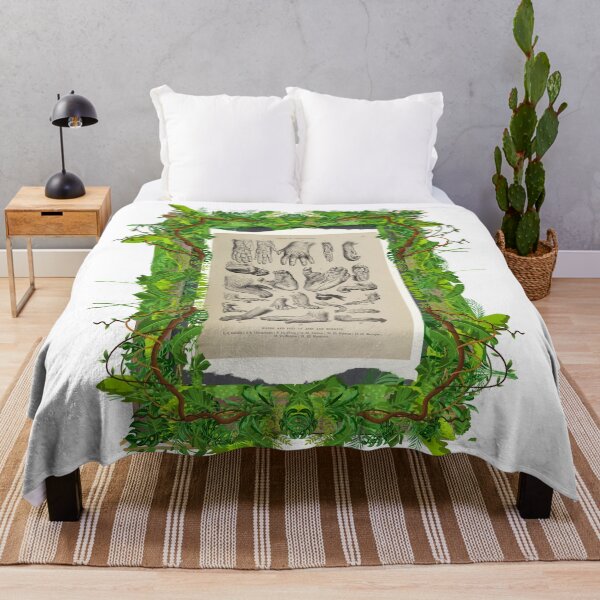 Item preview, Zoological board "Hands and feet of apes and monkeys". designed and sold by AdvanceDesign.