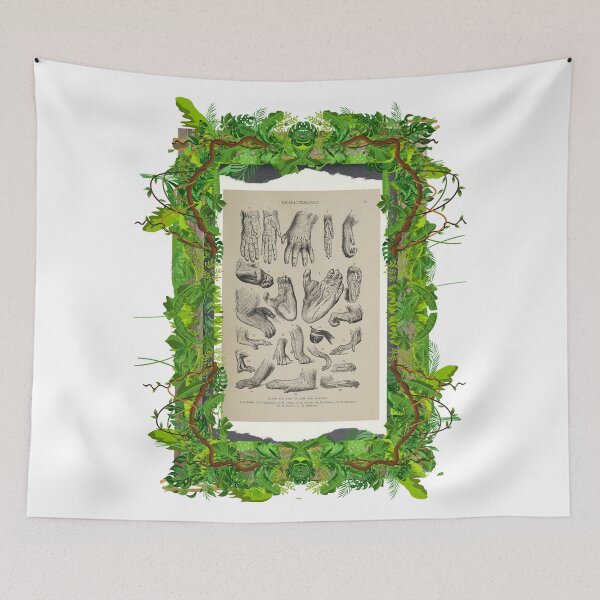 Item preview, Zoological board "Hands and feet of apes and monkeys". designed and sold by AdvanceDesign.
