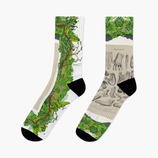 Item preview, Zoological board "Hands and feet of apes and monkeys". designed and sold by AdvanceDesign.