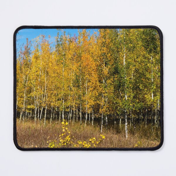 Item preview, Fall colours designed and sold by CanadianWild418.