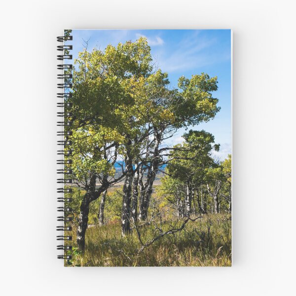 Item preview, Fall scenery designed and sold by CanadianWild418.