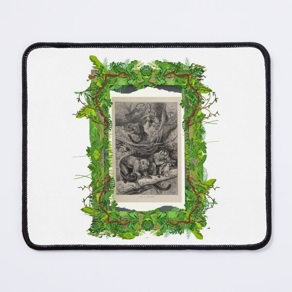Item preview, Zoological board "Douroucoulis". designed and sold by AdvanceDesign.