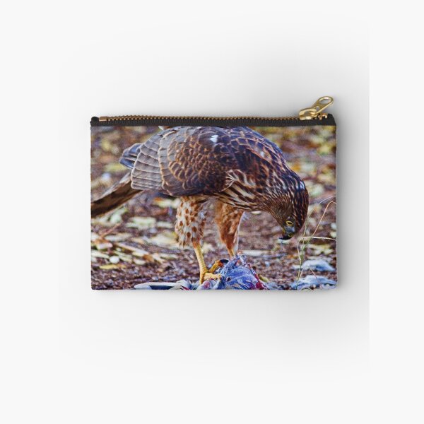 Item preview, Cooper's Hawk with Dove designed and sold by Marvin Collins.
