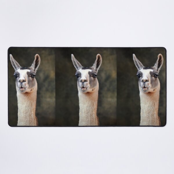 Item preview, Llama designed and sold by Savannah Gibbs.
