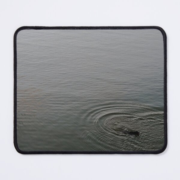 Item preview, Dog Playing Fetch in Water at Lake LBJ  designed and sold by Howdybeautiful.