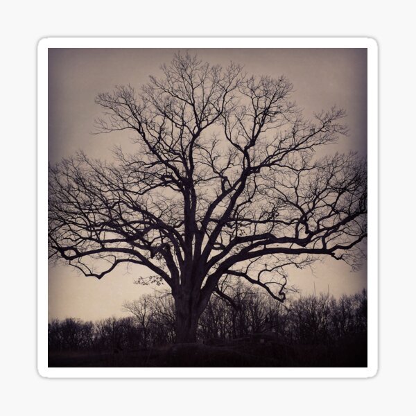 The Tree Sticker