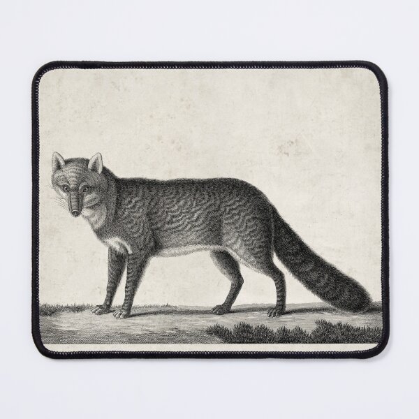 Item preview, 1809 Vintage Etching of a Fox designed and sold by Gin  Neko.