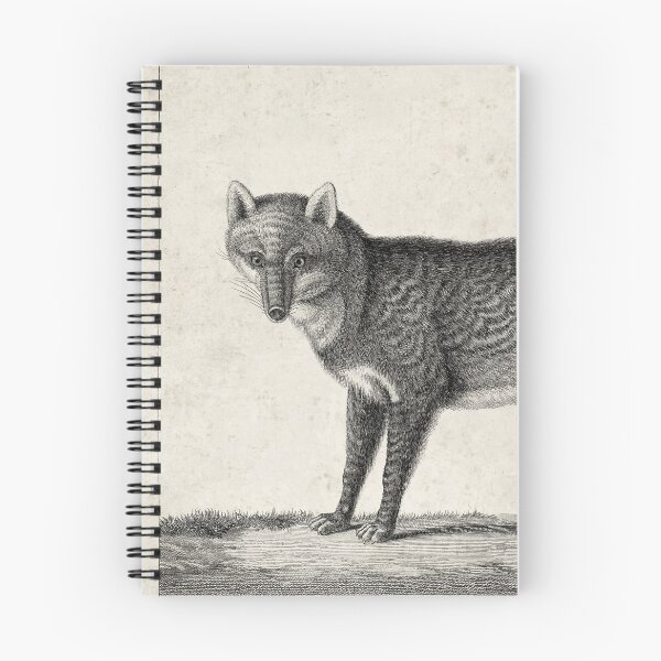 Item preview, 1809 Vintage Etching of a Fox designed and sold by Gin  Neko.