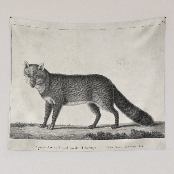 Item preview, 1809 Vintage Etching of a Fox designed and sold by Gin  Neko.