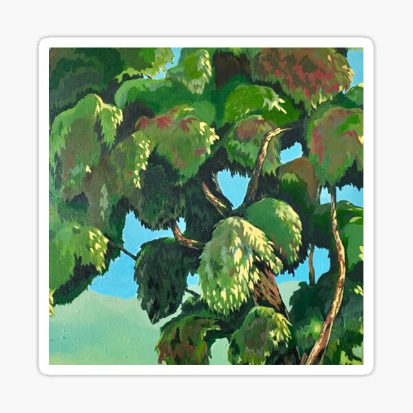 Bay Eucalyptus Sticker