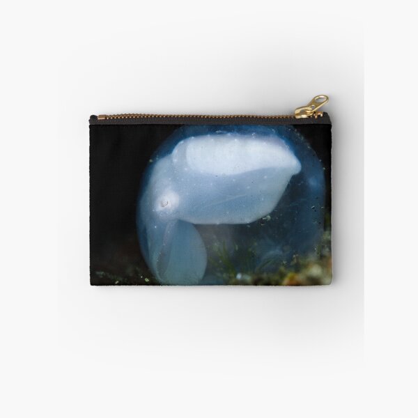 Item preview, Cuttlefish In Egg designed and sold by MattTworkowski.