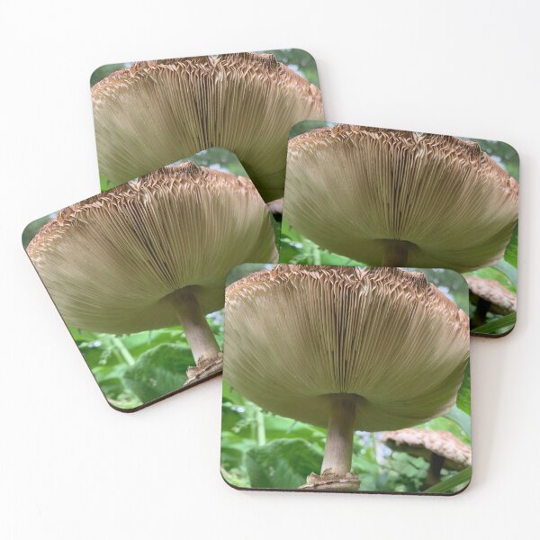 Item preview, Mushroom Gills designed and sold by Lil-Ari.