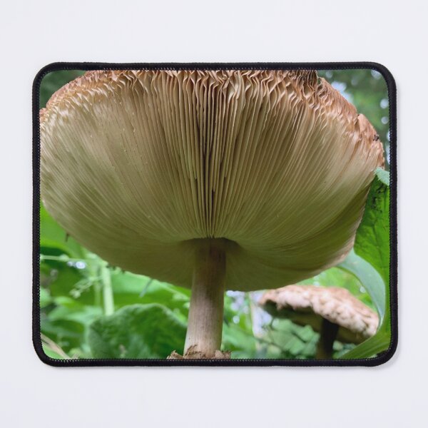 Item preview, Mushroom Gills designed and sold by Lil-Ari.
