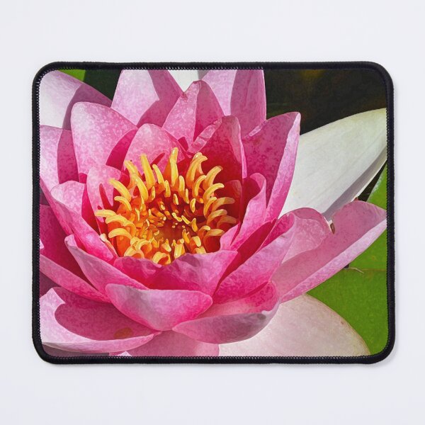 Item preview, Pink waterlily beauty designed and sold by perlphoto.