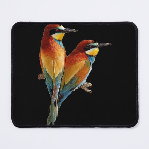 Item preview, birds designed and sold by Nodine.