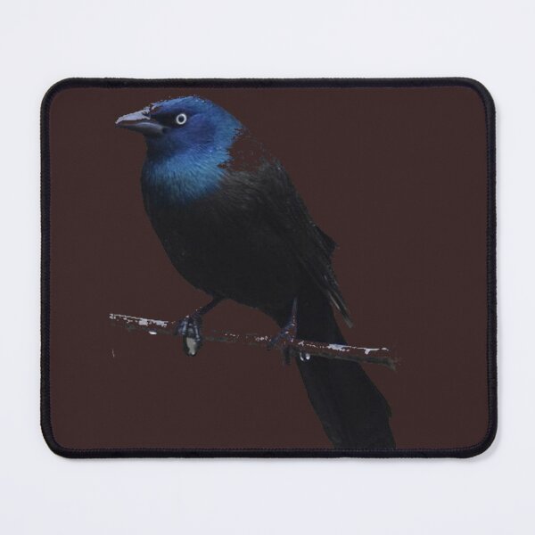 Item preview, bestbirdshots designed and sold by Nodine.
