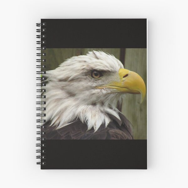 Item preview, My Eagles, 3 Spirit The Eagle (66) designed and sold by OneEagleRider.