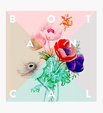 Pretty Botanicals Photographic Print