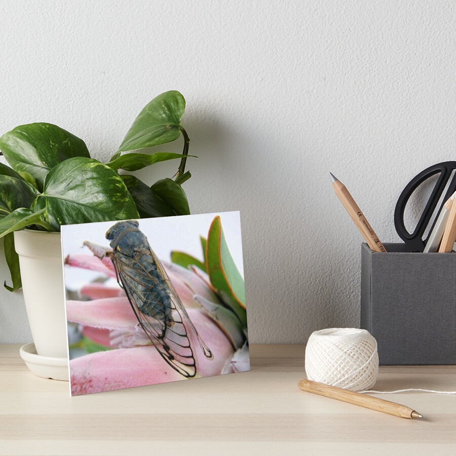 Item preview, Art Board Print designed and sold by elsha.