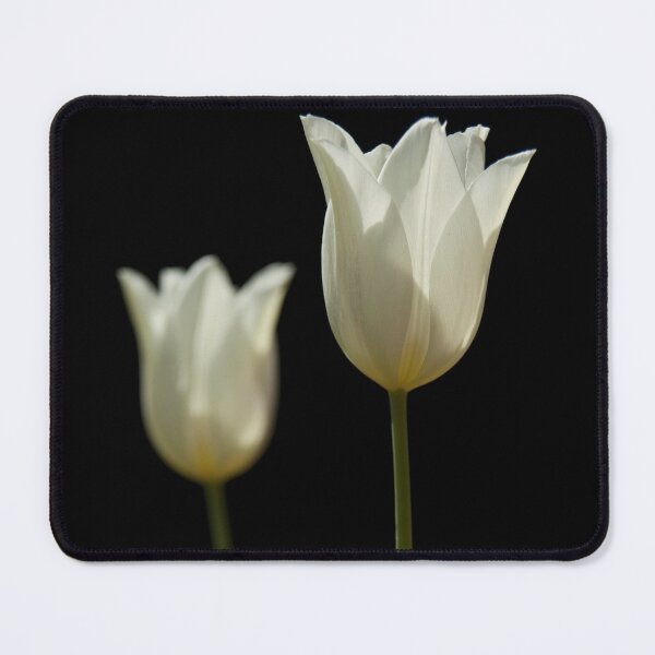 Item preview, Tulips designed and sold by hawilliams.