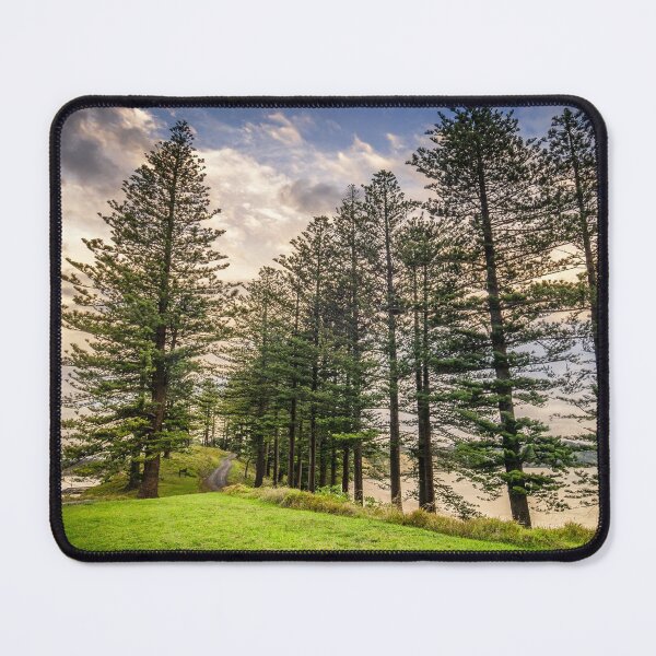 Item preview, Motuihe Island Pines designed and sold by Ian Rushton.