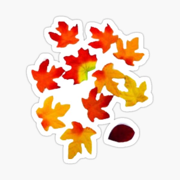 All About Fall Colors Autumn Colors Sticker