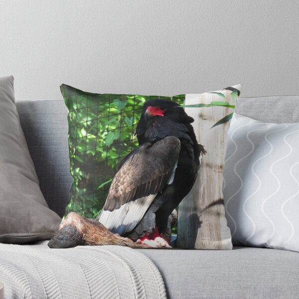 Item preview, My Eagles, 5 Sitting In The Shadows (2) designed and sold by OneEagleRider.