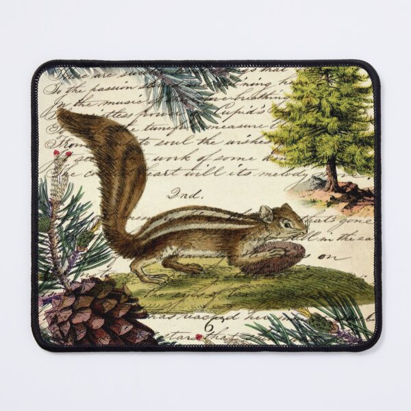 Item preview, dark academia winter evergreen pine cone chipmunk nut house squirrel designed and sold by LEILA ART SPACE.