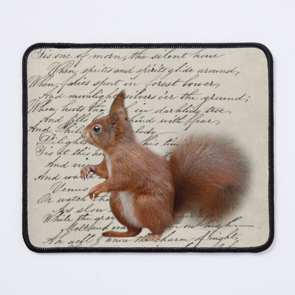 Item preview, dark academia autumn fall fairytale scripts woodland animal squirrel designed and sold by LEILA ART SPACE.