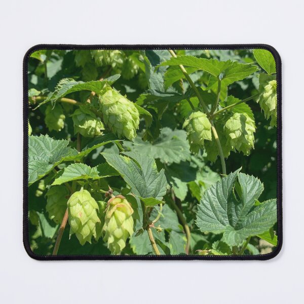 Item preview, Harvesting Hops designed and sold by Lil-Ari.