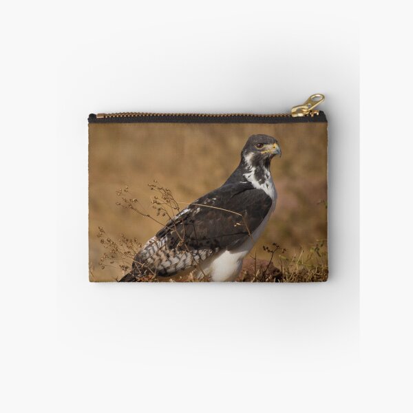 Item preview, Augur Buzzard (Buteo augur) designed and sold by Neville Jones.