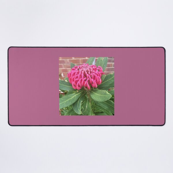 Item preview, Australian Waratah  designed and sold by MaureenBoyle.