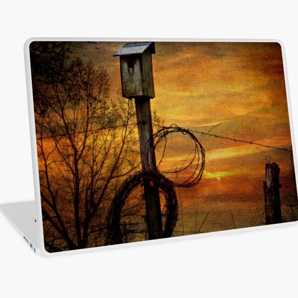 Blue Bird House and Barbed Wire Laptop Skin