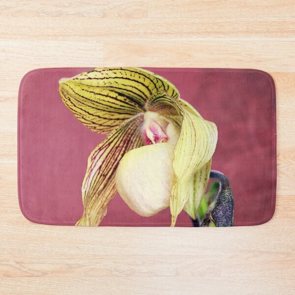 Item preview, Looking A Bit Dog-eared designed and sold by Michael May.