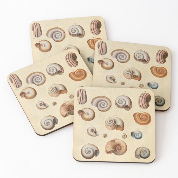 Item preview, 1790 Diagram: Detailed Illustration of Shells designed and sold by Gin  Neko.
