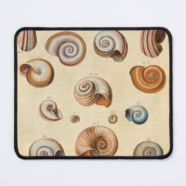 Item preview, 1790 Diagram: Detailed Illustration of Shells designed and sold by Gin  Neko.