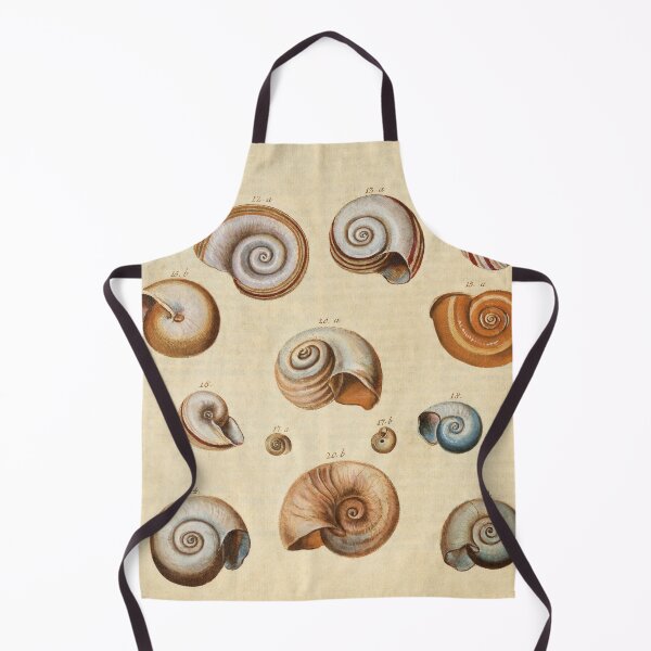 Item preview, 1790 Diagram: Detailed Illustration of Shells designed and sold by Gin  Neko.
