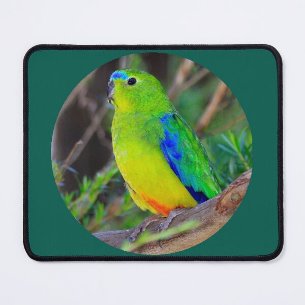OBP Mouse Pad