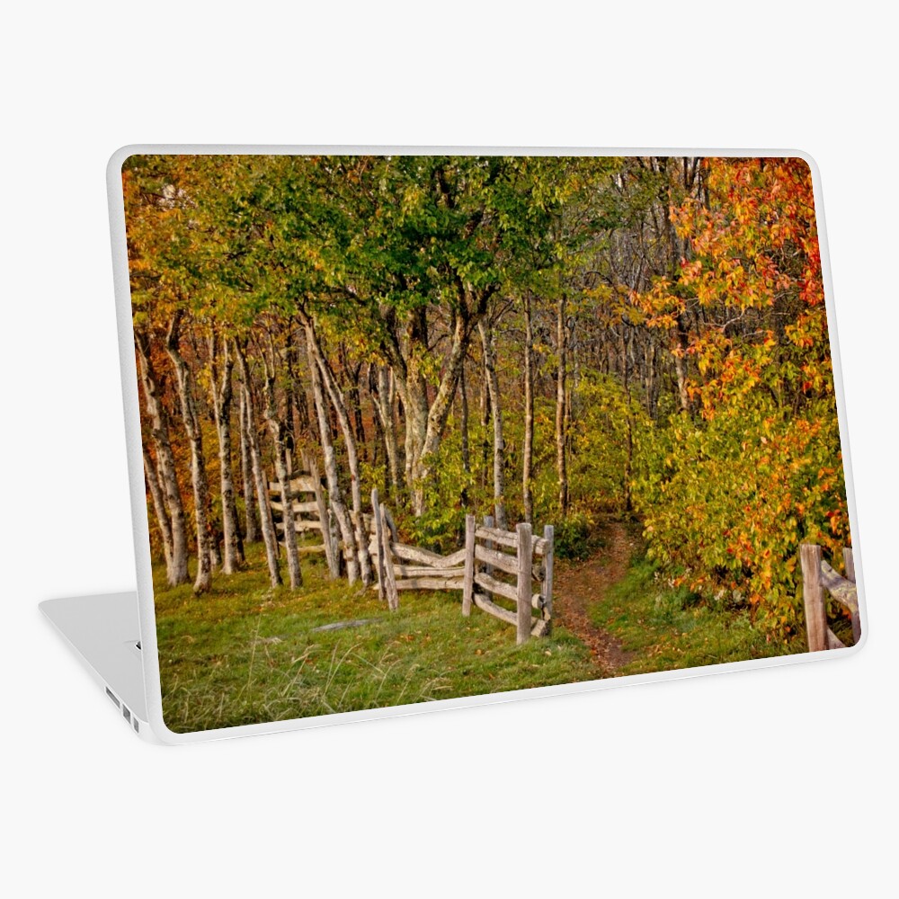 Sunset on an Autumn Wood Laptop Skin